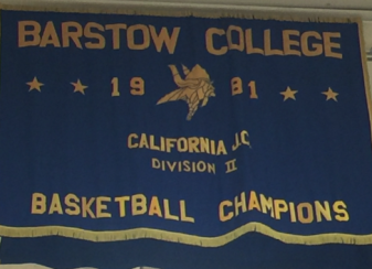 Basketball Champion Tapestry