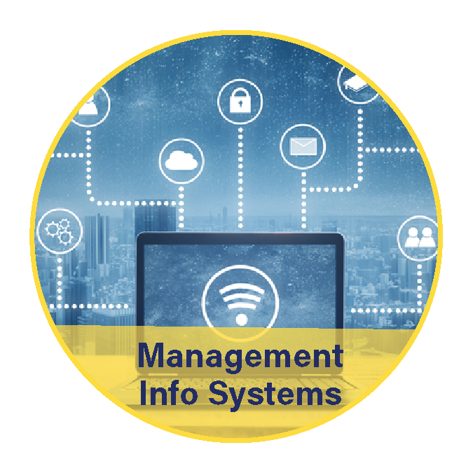 Management Information Systems