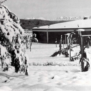 Snow on Campus 1965