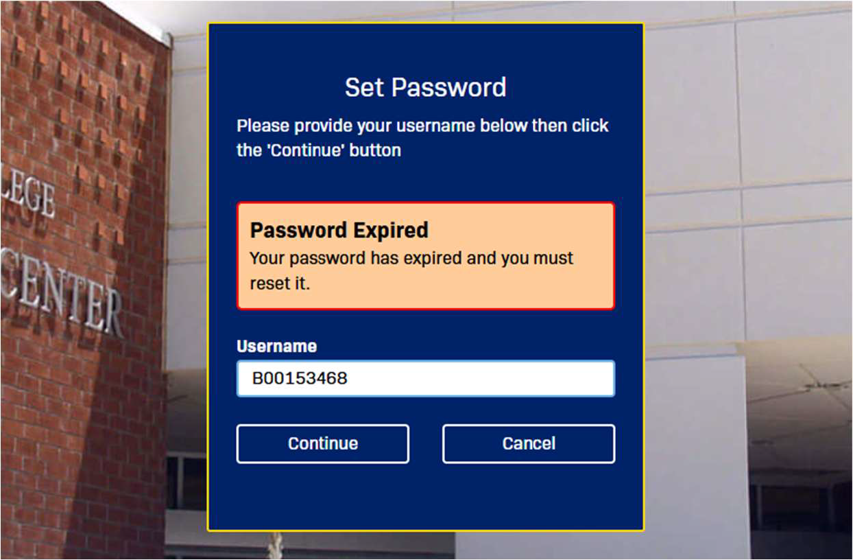 Set a new password
