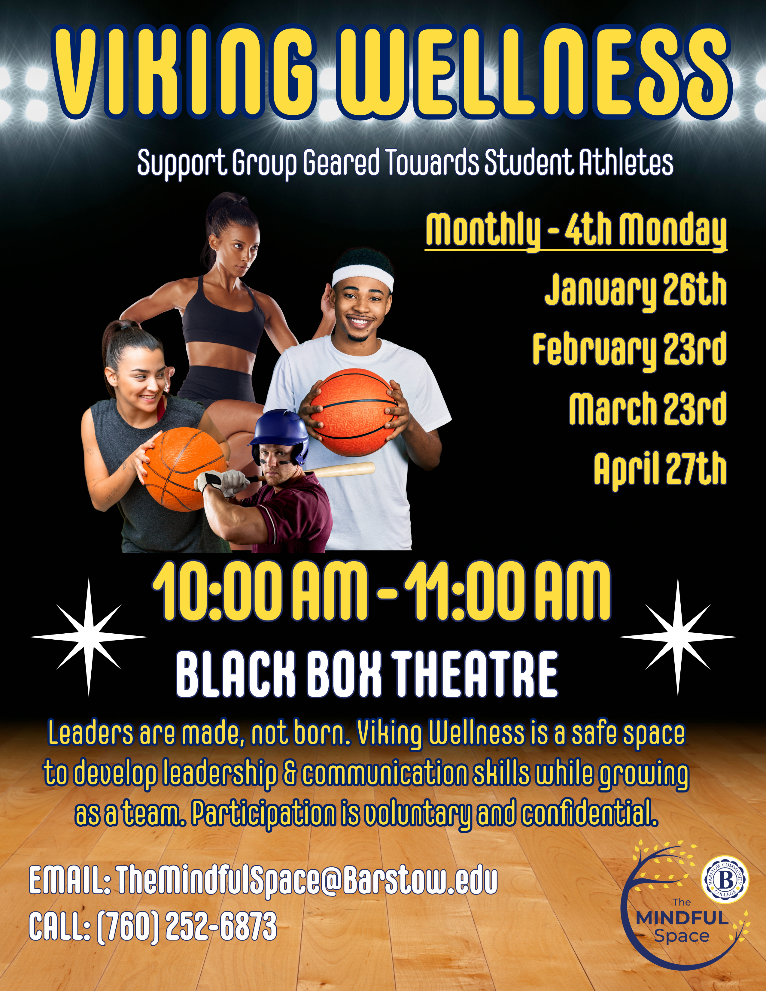 Viking Wellness Flyer