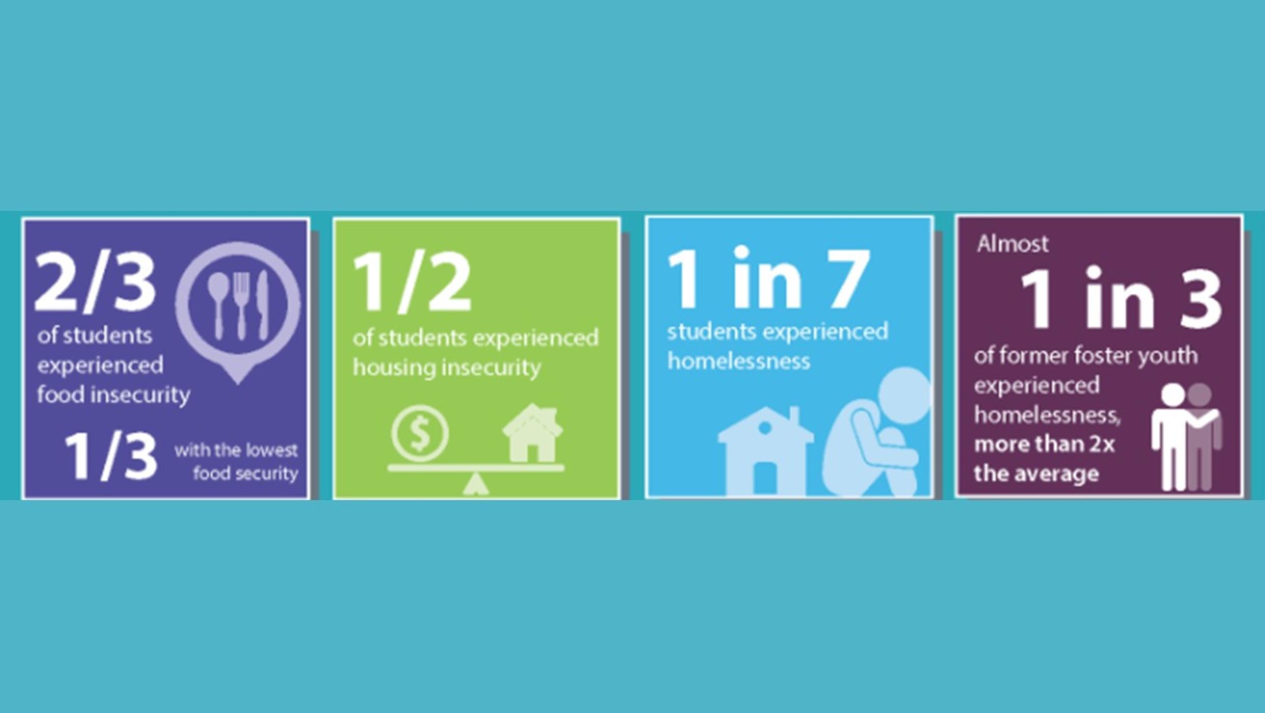 Basic Needs Statistics Infographic