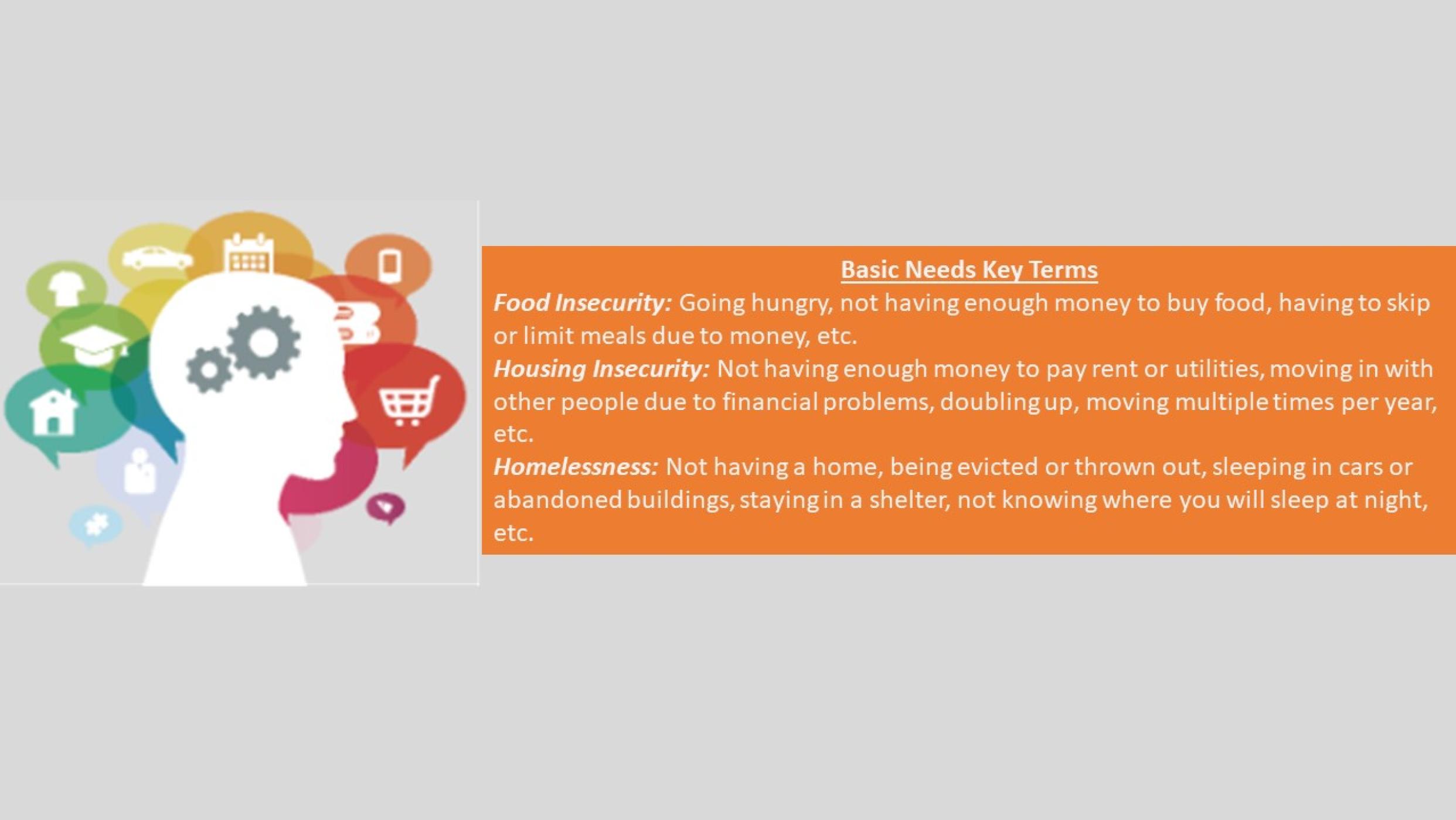 Basic Needs Key Terms Infographic