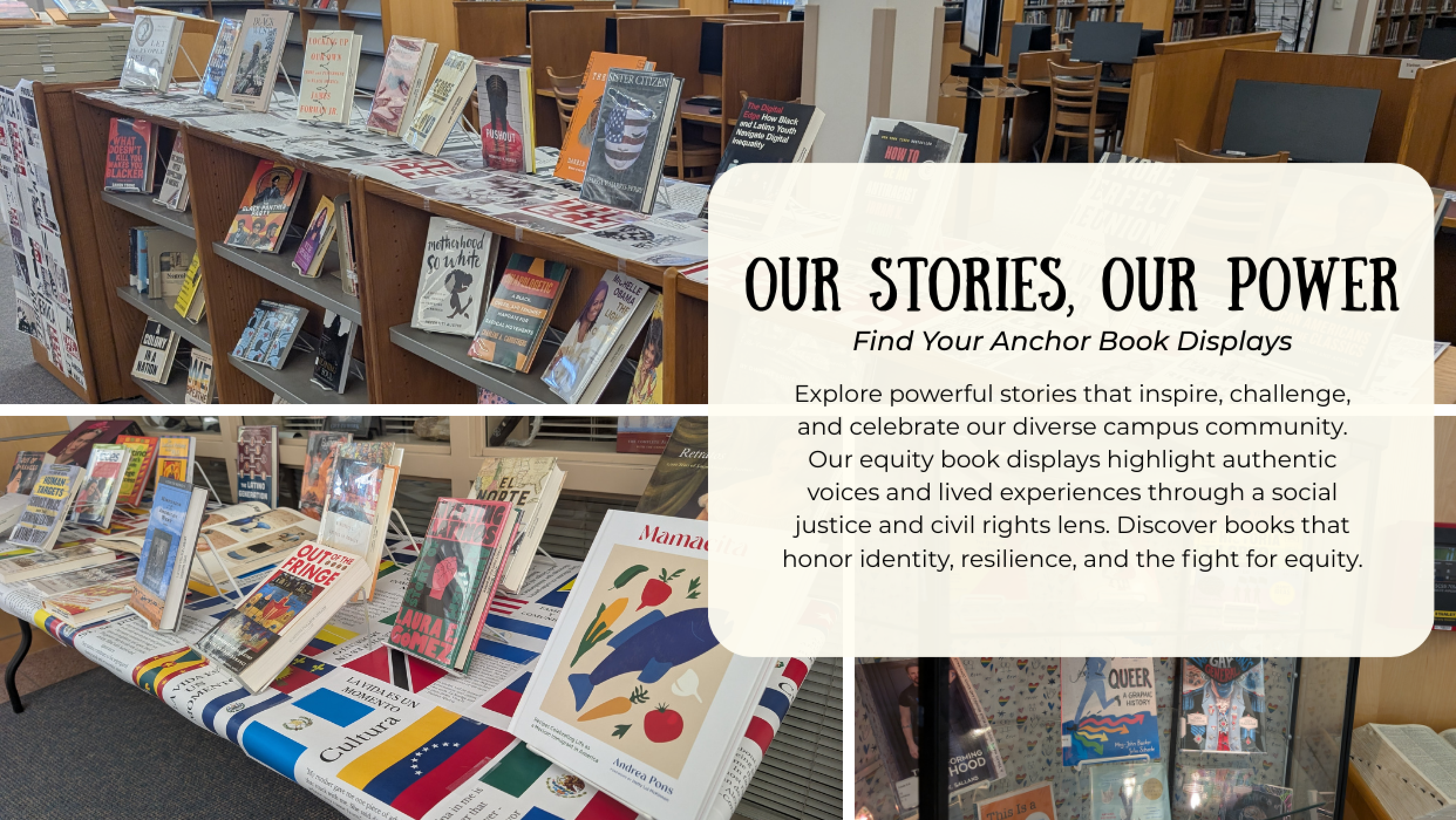 Library book displays featuring diverse authors and stories on race, identity, equity, and social justice, with a sign reading “Our Stories, Our Power.”