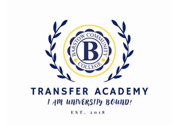 Transfer Academy