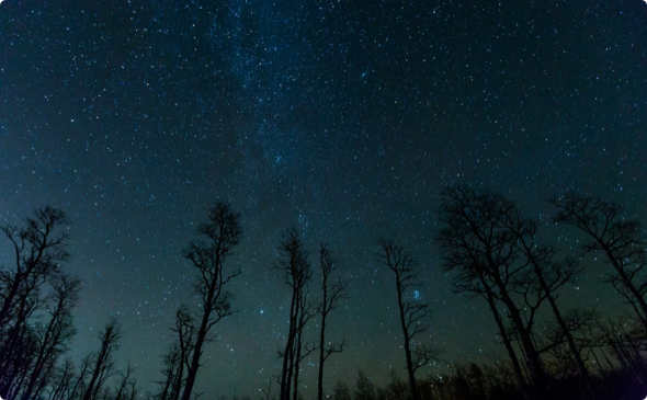 Dark Sky
