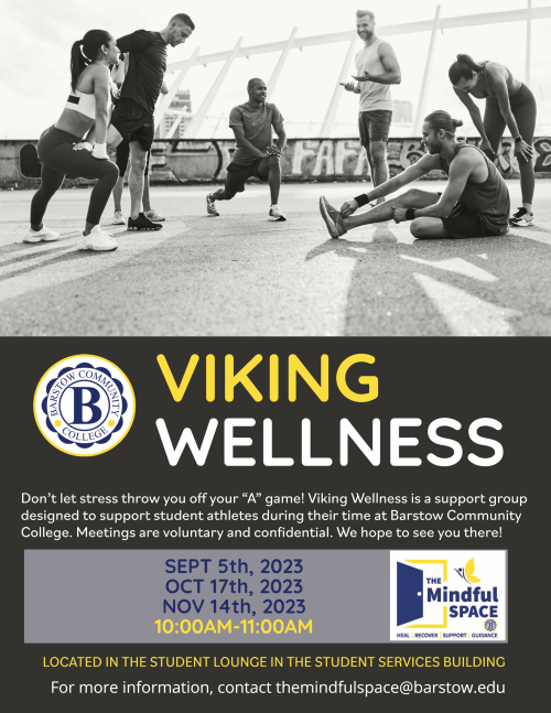 Viking Wellness Group Flyer