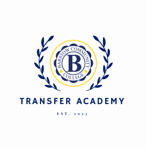 Transfer Academy Logo